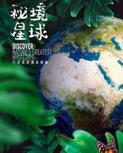 脑洞小老弟无实名认证